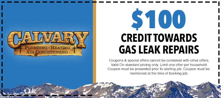 discount on any gas leak detection service